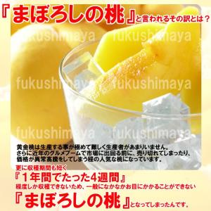 桃 黄金桃 黄貴妃等 福島県 献上桃の郷 桑折...の詳細画像2