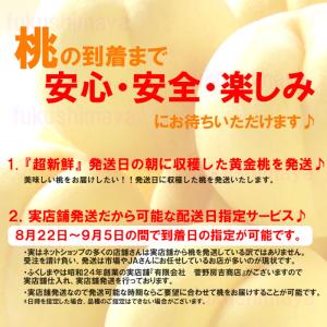桃 黄金桃 黄貴妃等 福島県 献上桃の郷 桑折...の詳細画像4