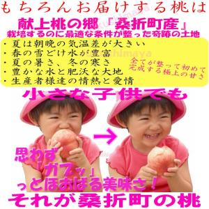 桃 黄金桃 黄貴妃等 福島県 献上桃の郷 桑折...の詳細画像5