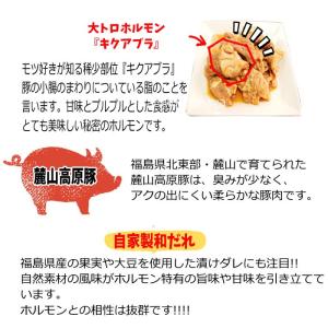 福島ホルモン 醤油 麓山高原豚 ふくしまプライ...の詳細画像3