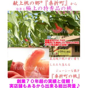 桃 福島県 献上桃の郷 桑折町産 特秀品桃 1...の詳細画像1