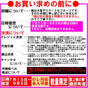 桃 福島県 献上桃の郷 桑折町産 特秀品桃 1...の詳細画像2