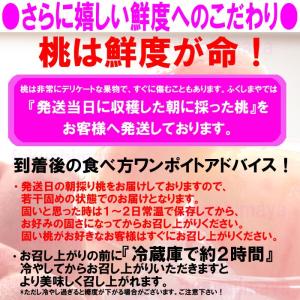 桃 福島県 献上桃の郷 桑折町産 特秀品桃 1...の詳細画像5