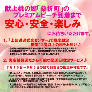 桃 福島県 献上桃の郷 桑折町産 特秀品桃 1...の詳細画像4