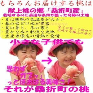 桃 福島県 献上桃の郷 桑折町 特秀桃 4.5...の詳細画像2