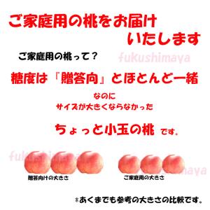 桃 福島県 献上桃の郷 桑折町 特秀桃 4.5...の詳細画像3