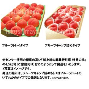 桃 福島県 献上桃の郷 桑折町 特秀桃 4.5...の詳細画像4