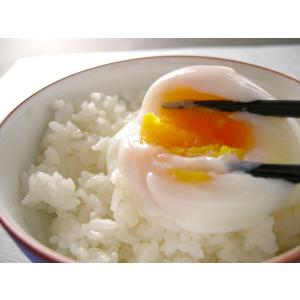 ラジウム玉子 10個入 ふくしまプライド。体感...の詳細画像1
