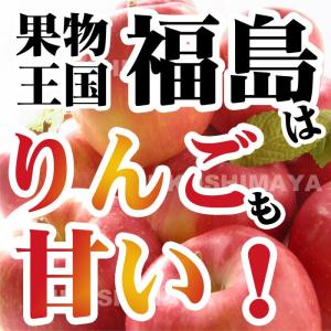 りんご 訳あり サンふじ 福島 約13.5kg...の詳細画像1