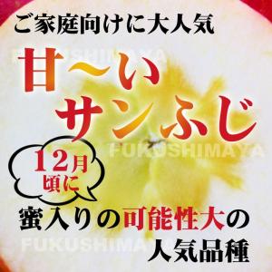 りんご 訳あり サンふじ 福島 約13.5kg...の詳細画像2