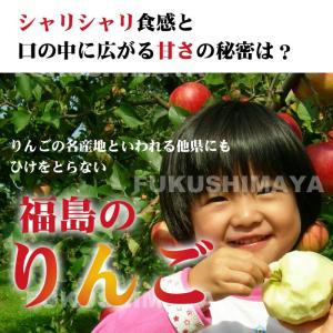 りんご 訳あり サンふじ 福島 約13.5kg...の詳細画像3