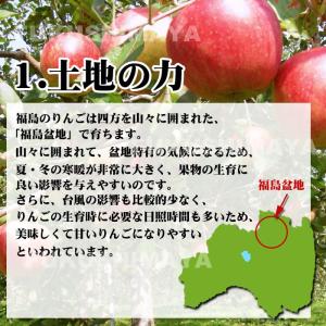 りんご 訳あり サンふじ 福島 約13.5kg...の詳細画像4