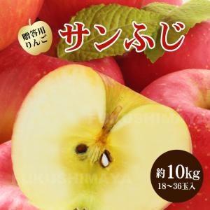 ギフト プレゼント りんご サンふじ 福島 産 ...の商品画像