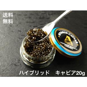 送料無料　キャビア ハイブリッド 20g 高級ハイブリッドキャビア　三大珍味