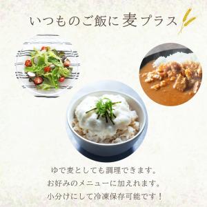 国内産もち麦 5kg 紙袋 国産大麦 麦ごはん...の詳細画像1