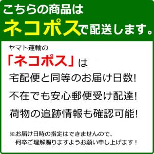 SAT-6CL 10本セット 色を選べる プリ...の詳細画像5