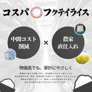 フクテイライス【白米】青森県産 お米 米 はれ...の詳細画像2
