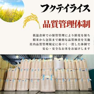 フクテイライス【白米】青森県産 お米 米 はれ...の詳細画像5