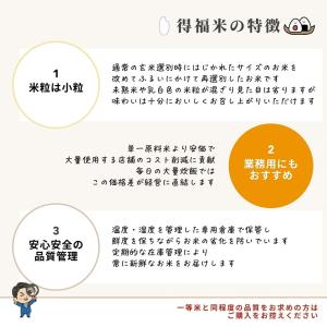 フクテイライス【白米】生活応援 お米 米 得福...の詳細画像1