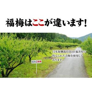 訳あり 梅干し 送料無料 無選別うす塩800g...の詳細画像3
