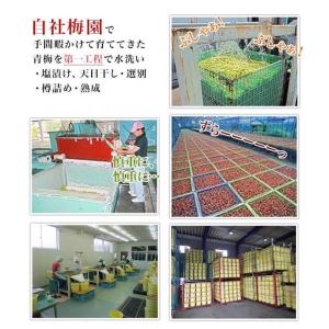 訳あり 梅干し 送料無料 無選別うす塩800g...の詳細画像4