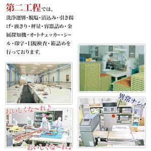 訳あり 梅干し 送料無料 無選別うす塩800g...の詳細画像5