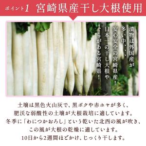 練梅たくあん1本 宮崎県産大根使用 ポイント利用の詳細画像2