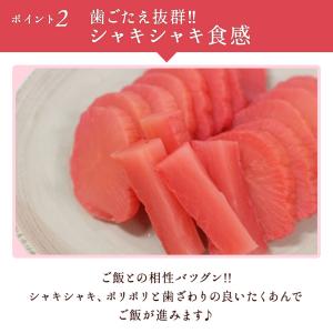 練梅たくあん1本 宮崎県産大根使用 ポイント利用の詳細画像3