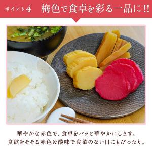 練梅たくあん1本 宮崎県産大根使用 ポイント利用の詳細画像5