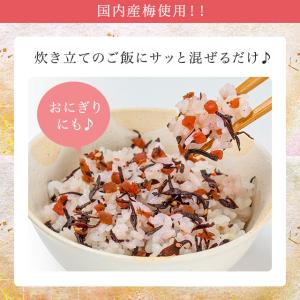 ふりかけ ごはんのお供 梅の実ごろごろひじきご...の詳細画像2