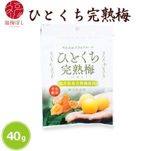ひとくち完熟梅 40ｇ　国産 ドライフルーツ お菓子 お取り寄せ グルメ ポイント利用　