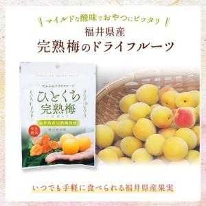 ひとくち完熟梅 40g 国産 ドライフルーツ ...の詳細画像2