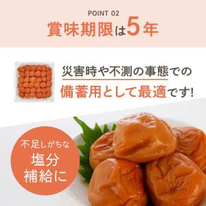 白干し梅 900g 福井県産 無添加 備蓄 シ...の詳細画像5