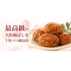 最高級 梅干し<極>12粒セット 贈り物 ギフ...の詳細画像5