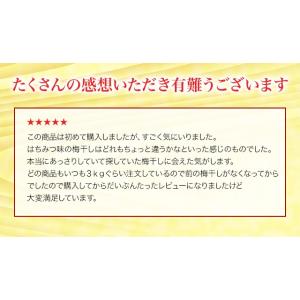 梅干し 訳あり はちみつ 900g 塩分約7%...の詳細画像3