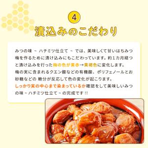 梅干し 訳あり つぶれ梅 みつの味(ハチミツ仕...の詳細画像5