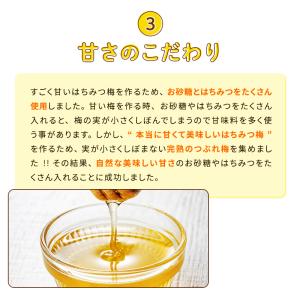 梅干し 訳あり つぶれ梅 くちゃ梅 みつの味(...の詳細画像5