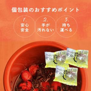 梅干し はちみつ 個包装 おためし はちみつ福...の詳細画像1