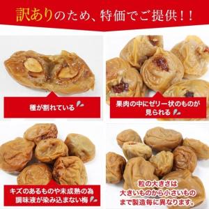 梅干し 訳あり 梅干し 送料無料 規格外 つぶ...の詳細画像2