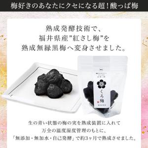 無添加 くろ梅 無塩 100g 福井県産 紅映...の詳細画像1