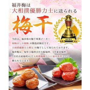 梅干し お試しセット30gx6味 無添加梅干し...の詳細画像2