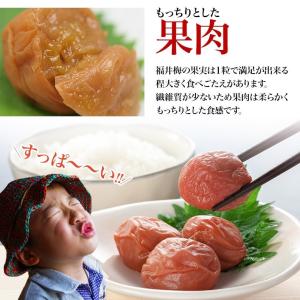 梅干し お試しセット30gx6味 無添加梅干し...の詳細画像4