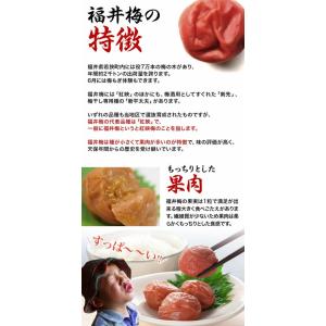 梅干し 梅ぼし生活 選べる組合せ 福梅ぼし梅干...の詳細画像3