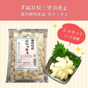 福井県産花らっきょ1年掘り 甘酢漬け 180g...の詳細画像1