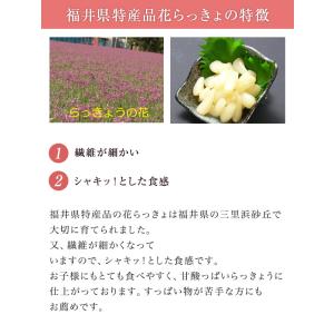 福井県産花らっきょ1年掘り 甘酢漬け 180g...の詳細画像2