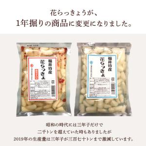 福井県産花らっきょ1年掘り 甘酢漬け 180g...の詳細画像3