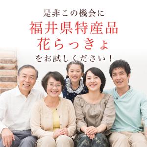 福井県産花らっきょ1年掘り 甘酢漬け 180g...の詳細画像4