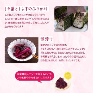 梅干し しその葉 もみしそ 紫蘇の葉 300g...の詳細画像2
