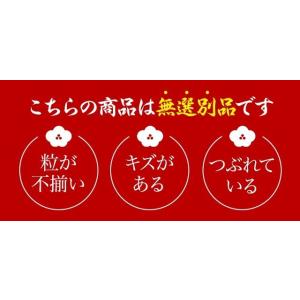梅干し 訳あり 800g 塩分約15% 無添加...の詳細画像2