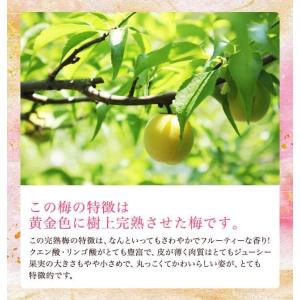 梅干し 訳あり 800g 塩分約15% 無添加...の詳細画像4
